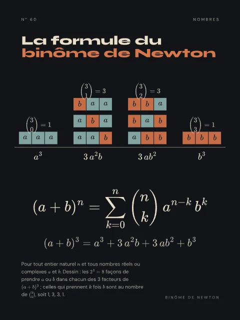La formule du binôme de Newton · Nuit, affiche formule du binôme de Newton
