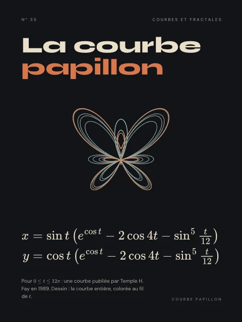 La courbe papillon · Nuit, affiche courbe papillon