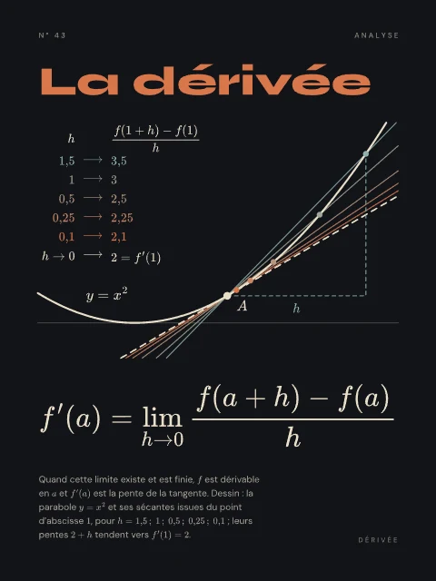 La dérivée · Nuit, affiche dérivée