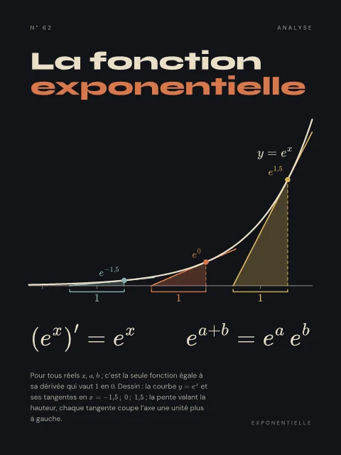 La fonction exponentielle · Nuit, affiche fonction exponentielle