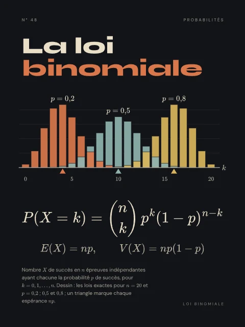 La loi binomiale · Nuit, affiche loi binomiale