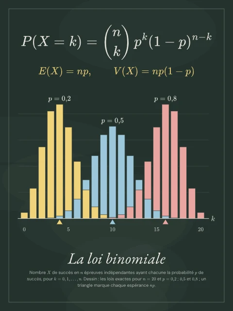 La loi binomiale · Tableau noir, affiche loi binomiale