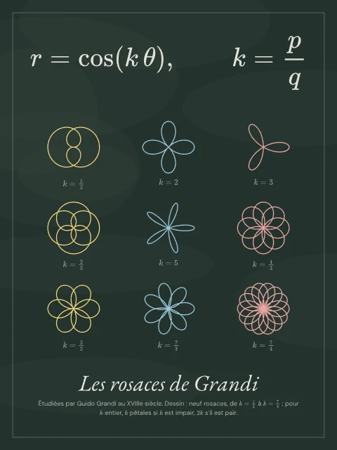 Les rosaces de Grandi · Tableau noir, affiche rosaces de Grandi